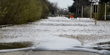 Alerta máxima por la crecida del río Carcarañá: hay más de 300 evacuados