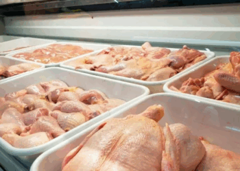 Retenciones cero en carnes: el sector avícola santafesino advirtió que podrían aumentar sus costos hasta un 10%