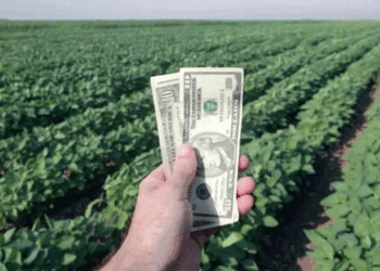 Las exportaciones del agro ya alcanzaron el cupo de u$s7.000 millones y se terminaron las «retenciones cero»
