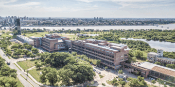 La UNL junto a universidades públicas avanzan en una demanda judicial contra el Gobierno nacional