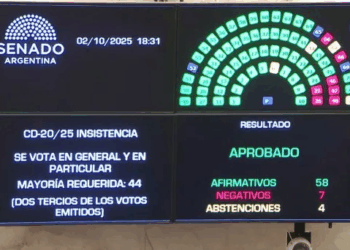 El Senado rechazó el veto a la Emergencia Pediátrica y al Financiamiento Universitario