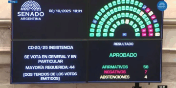 El Senado rechazó el veto a la Emergencia Pediátrica y al Financiamiento Universitario