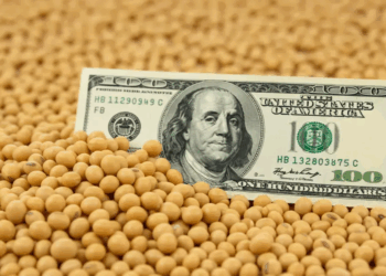 El precio de la soja, tras las retenciones cero: fuerte pulseada entre compradores y vendedores