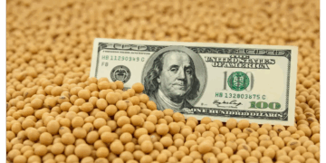 El precio de la soja, tras las retenciones cero: fuerte pulseada entre compradores y vendedores