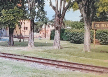 Oliveros: Megaoperativo antidroga con cinco allanamientos en simultaneo