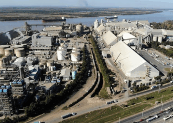 Tensión Aceitera: CIARA advierte que un paro paralizaría «toda la cadena»