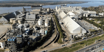 Tensión Aceitera: CIARA advierte que un paro paralizaría «toda la cadena»