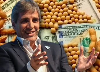 En busca de unos dólares: el Gobierno anunció baja de retenciones de entre 1% y 2% para exportaciones de cereales y oleaginosas