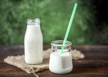 “Muy parecida a la humana”: productores ahora quieren vender leche de burra