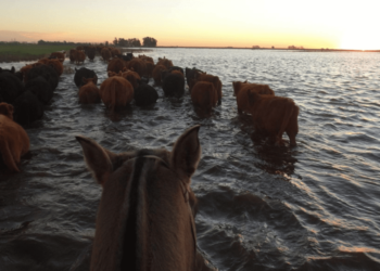 Tras las lluvias en el norte santafesino, lanzan créditos por $18.000 millones y declaran la emergencia