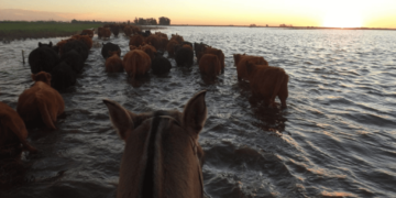 Tras las lluvias en el norte santafesino, lanzan créditos por $18.000 millones y declaran la emergencia