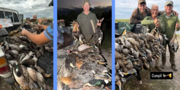 Investigan una masacre de fauna en el norte santafesino: denuncian la caza ilegal de más de 300 animales