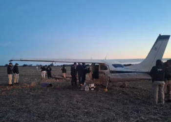 Hallaron una misteriosa avioneta en un campo en el departamento San Justo