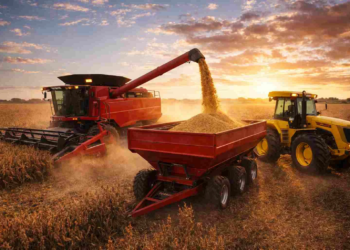 Más crédito para el campo: llegan líneas en pesos y dólares con plazos de hasta 61 meses