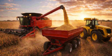 Más crédito para el campo: llegan líneas en pesos y dólares con plazos de hasta 61 meses